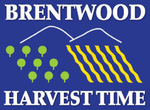 Brentwood Harvest Time